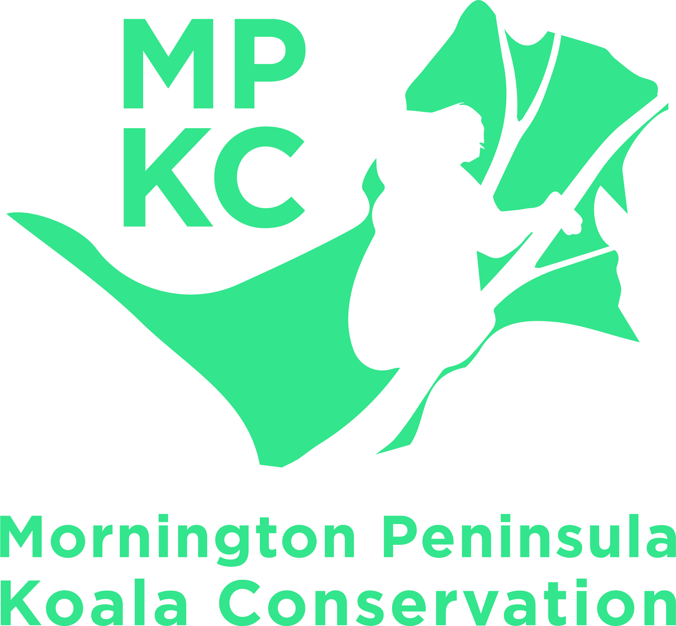 Koala Food Tree Planting Day - Main Ridge